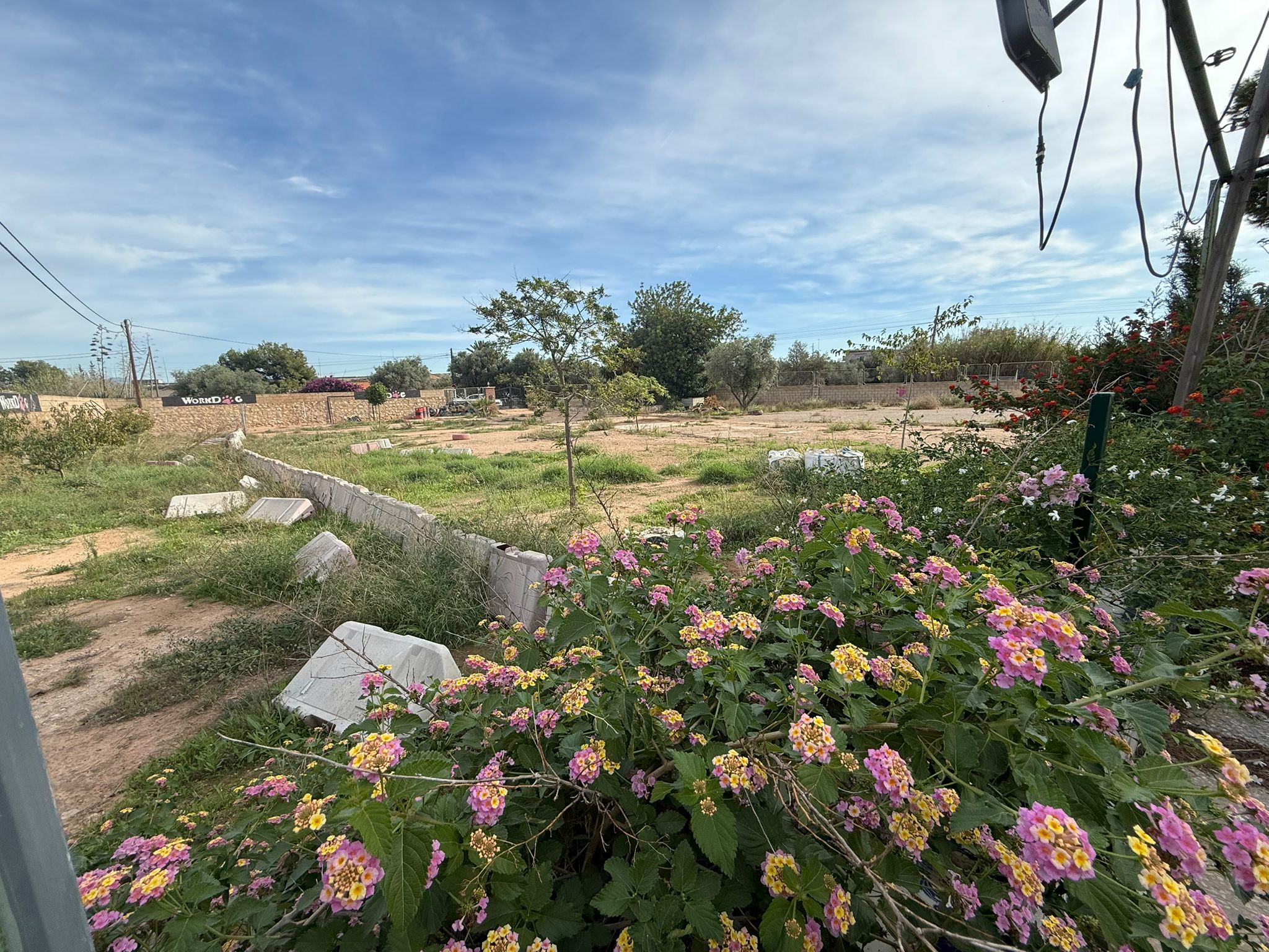 Piso en Calle Uruguay 7, LOS ÁNGELES, Alicante 2