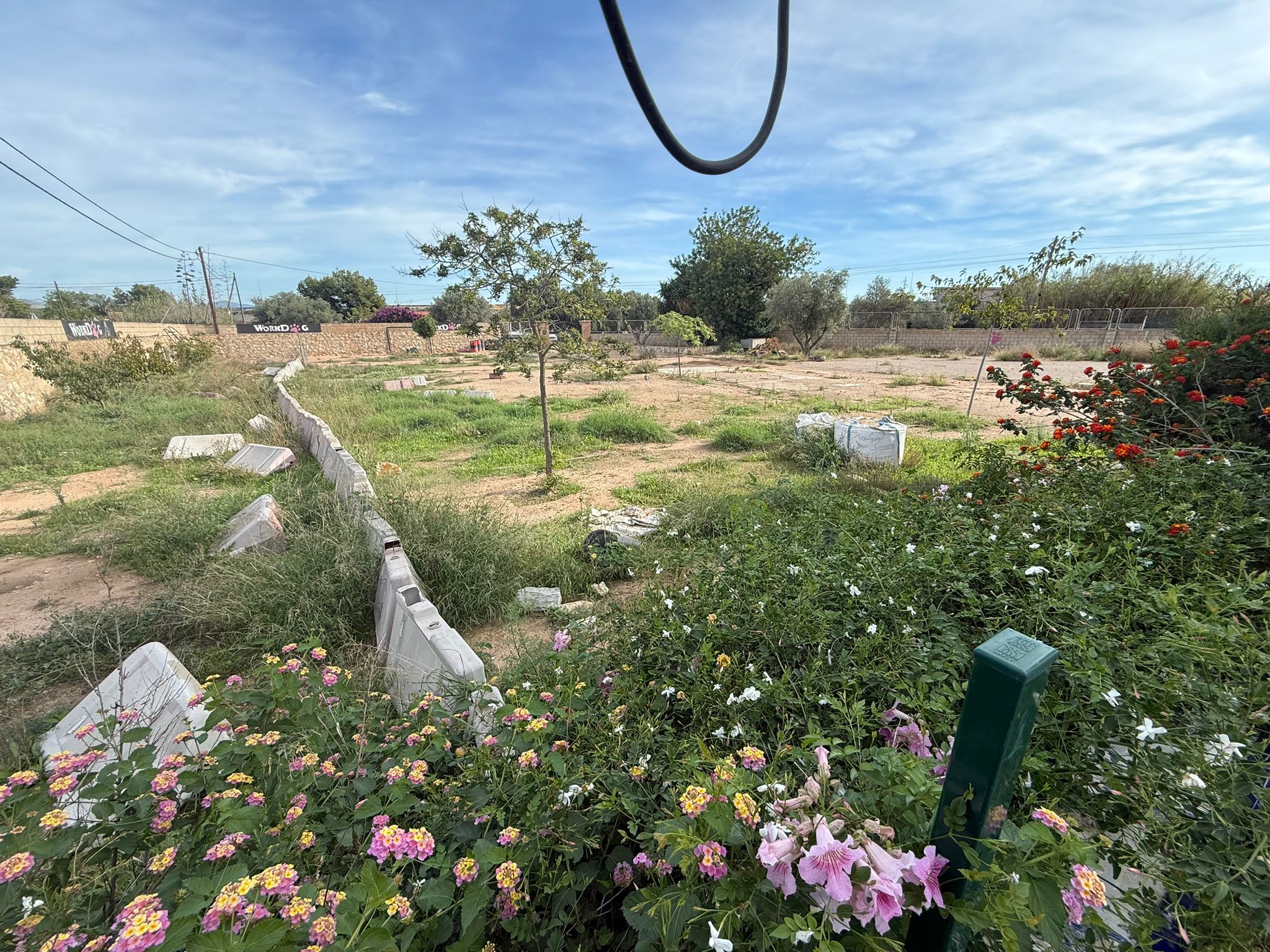 Piso en Calle Uruguay 7, LOS ÁNGELES, Alicante 3